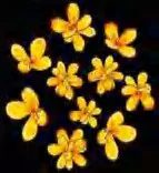 Gobo 1291