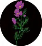 Gobo 1308