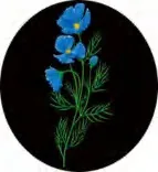 Gobo 1309