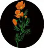 Gobo 1310