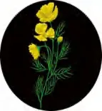 Gobo 1311