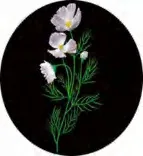 Gobo 1313