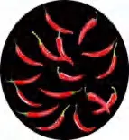 Gobo 1318