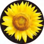 Gobo 1334