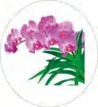 Gobo 1339