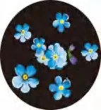Gobo 1345