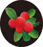 Gobo 1348