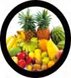 Gobo 1356