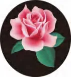 Gobo 1379
