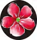 Gobo 1386