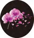 Gobo 1392
