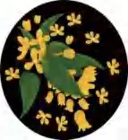 Gobo 1418