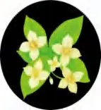 Gobo 1419