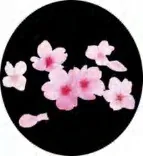 Gobo 1420