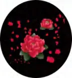Gobo 1422