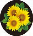 Gobo 1436