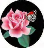 Gobo 1441