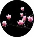 Gobo 1458