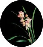 Gobo 1461