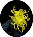 Gobo 1462