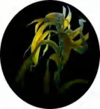 Gobo 1466