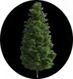 Gobo 1473