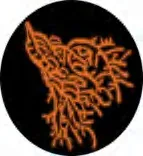 Gobo 1487
