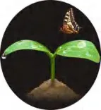 Gobo 1500