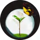 Gobo 1502