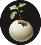 Gobo 1503