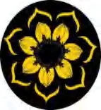 Gobo 1512