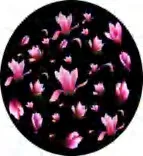 Gobo 1515