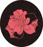 Gobo 1528
