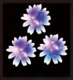 Gobo 1534