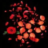 Gobo 1535