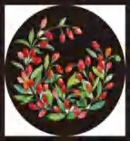 Gobo 1537