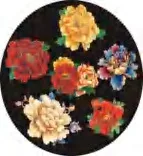 Gobo 1551