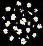 Gobo 1557
