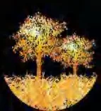 Gobo 1593