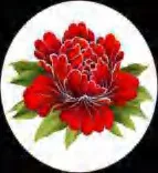 Gobo 1594