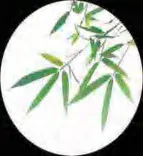 Gobo 1601