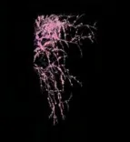 Gobo 1603