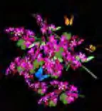 Gobo 1613