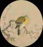 Gobo 1631