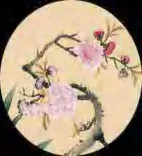 Gobo 1632