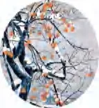 Gobo 1673