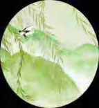 Gobo 1693