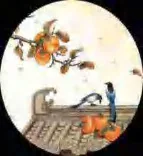 Gobo 1695
