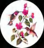 Gobo 1699