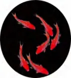 Gobo 1920